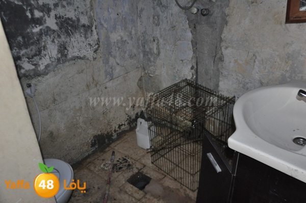 house modahama 0319 (24).JPG